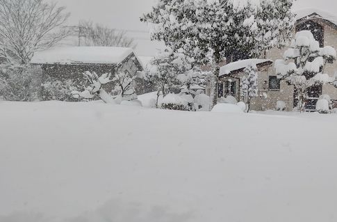 昼の雪.jpg